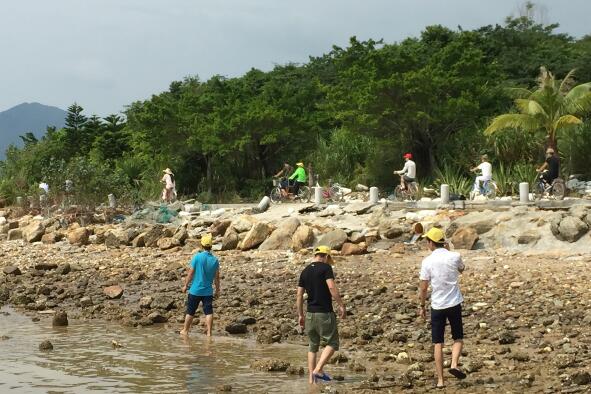 單車自由行 單車自由行