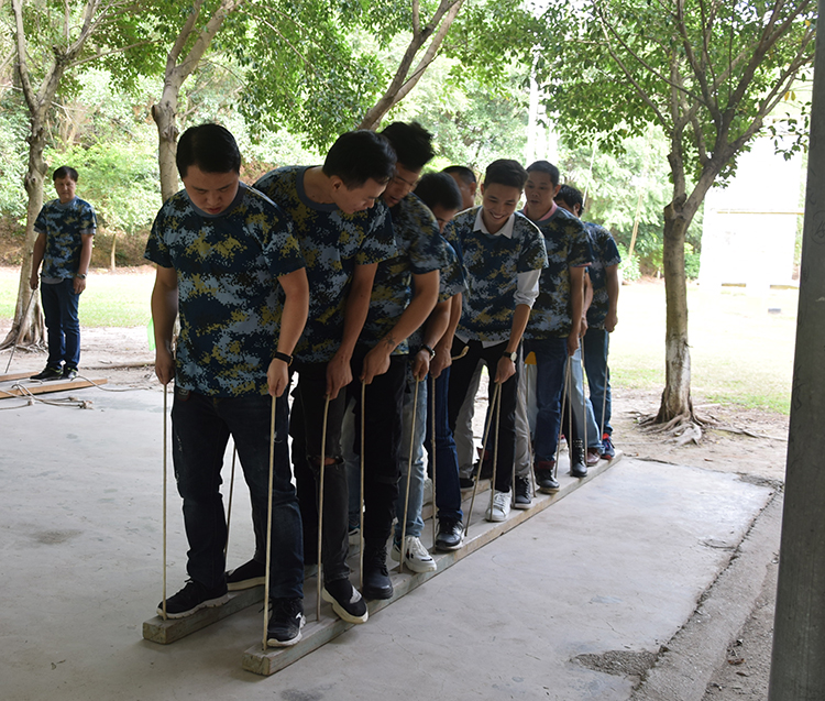 戰(zhàn)狼隊(duì) 戰(zhàn)狼隊(duì)